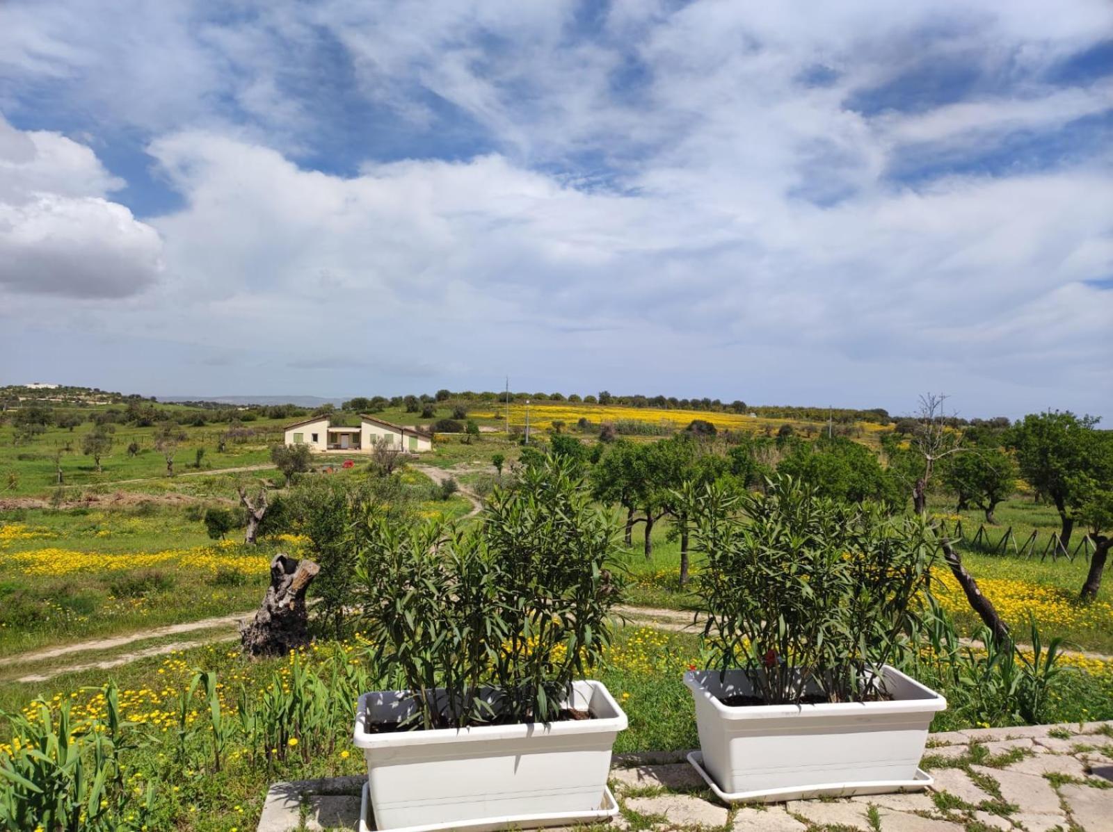 Henfeversicily Chalet Colapesce Casale Modica Buitenkant foto